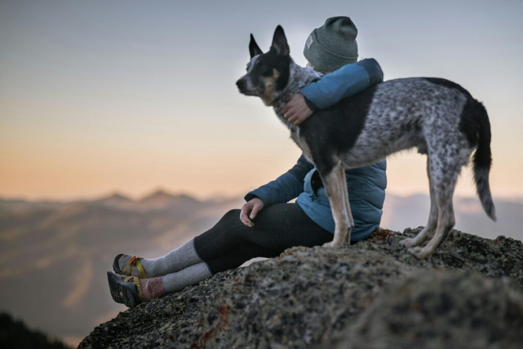 A person wearing a beanie and winter jacket sits on a rocky mountain with a dog, overlooking sunset views.